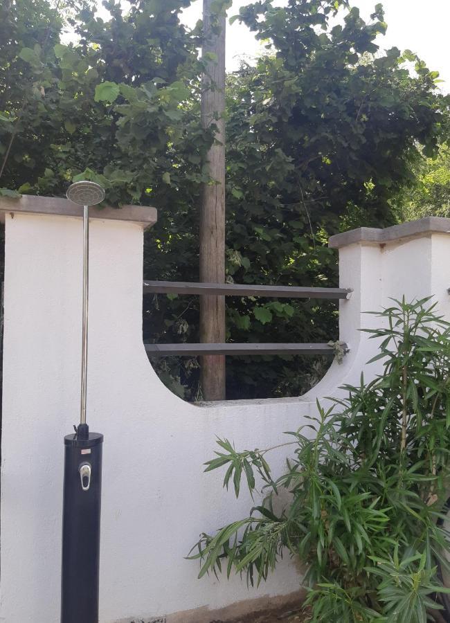 Pace, Luminosita E Comodita A Due Passi Dal Garda Volta Mantovana Exterior foto