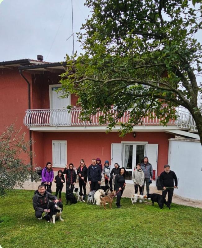 Pace, Luminosita E Comodita A Due Passi Dal Garda Volta Mantovana Exterior foto