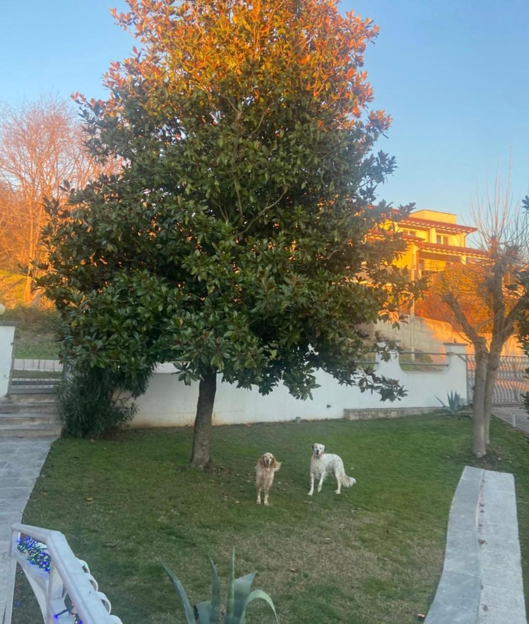 Pace, Luminosita E Comodita A Due Passi Dal Garda Volta Mantovana Cameră foto